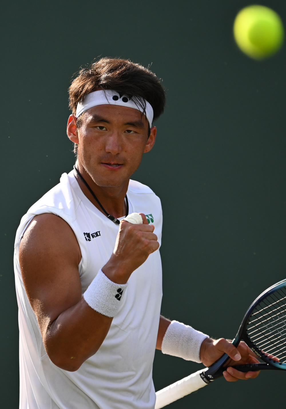 之所以引发 之所以引发